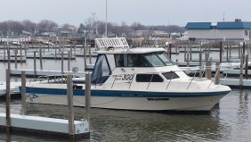 Lake Erie Walleye Charter